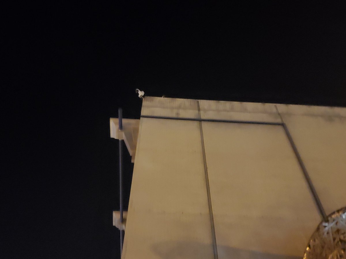 Snipers or spotters on the roof.  #RVAprotests  #richmondprotest – bei  Richmond Police Department