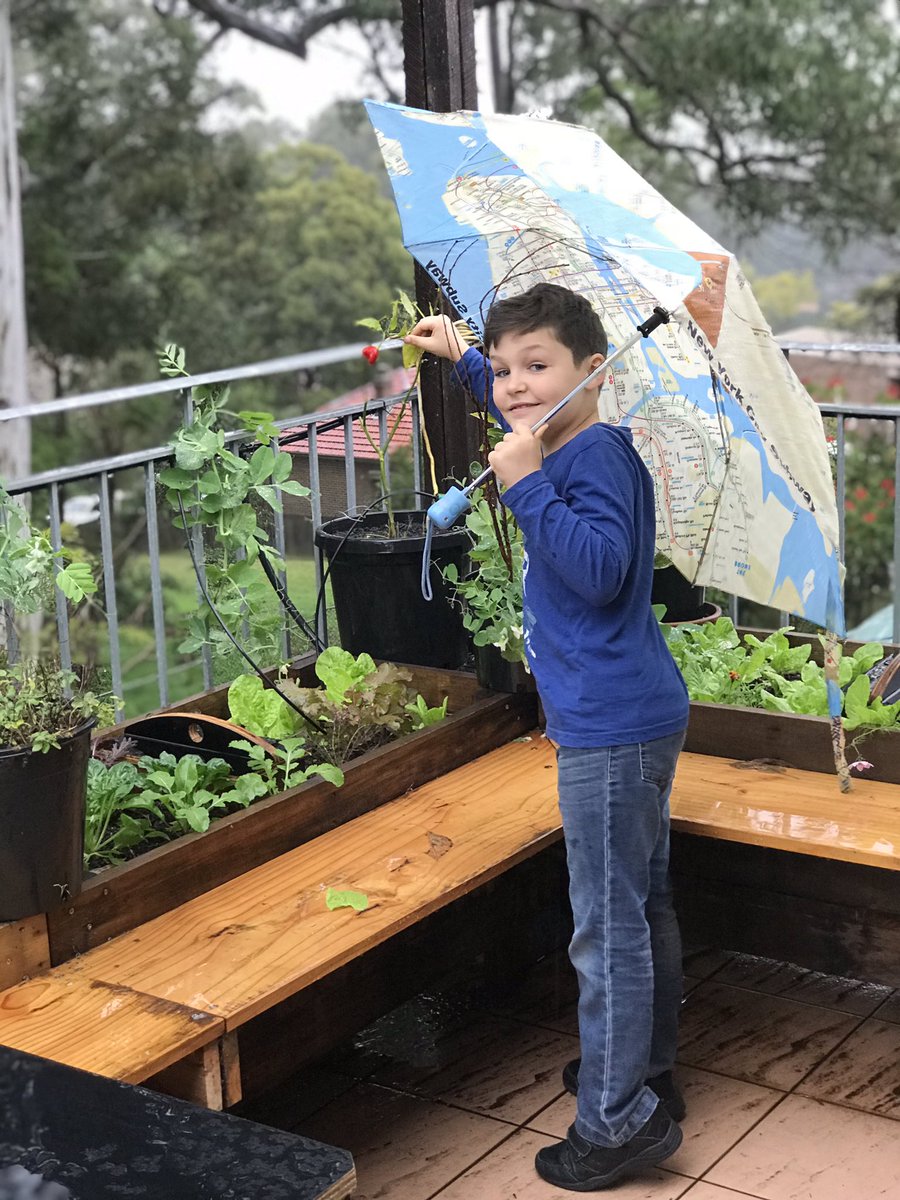 ClimateJen's tweet photo. We’re looking for more photos of climate solutions - all the great, low-carbon, enriching, sustainable things you are doing or can see. Upload to the Aust Museum’s Capturing Climate Change online exhibition #capturingclimatechange https://t.co/JP5p3NjncT