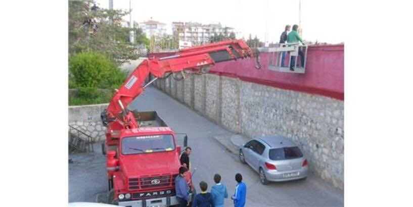 Gokhan Celik tweet media