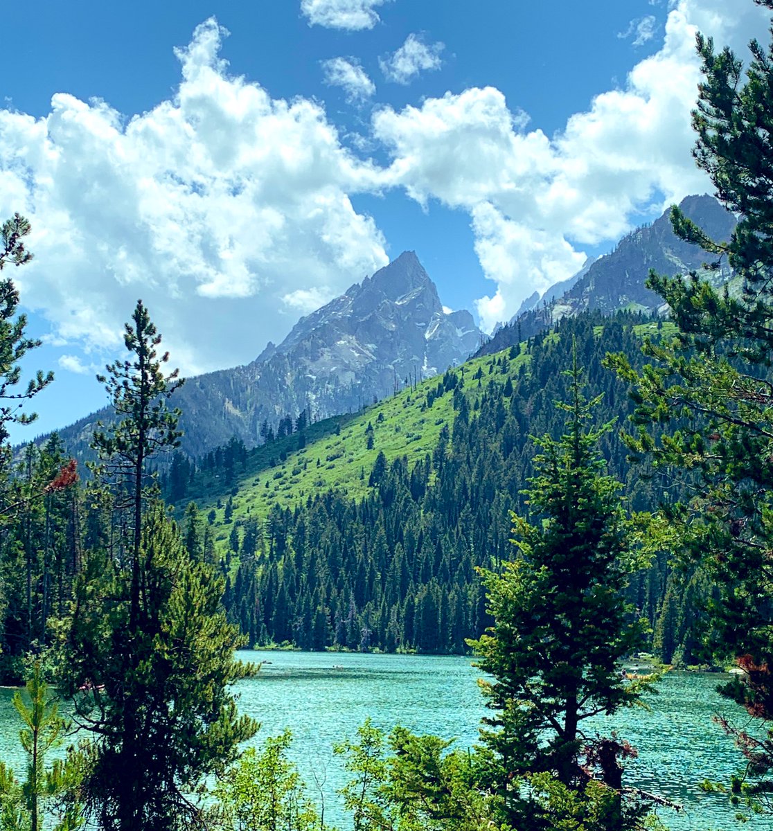 azvsqrd's tweet photo. Having an awesome time in #JacksonHole exploring the town and the #GrandTetonNP #StringLake https://t.co/LssLiDY0hd