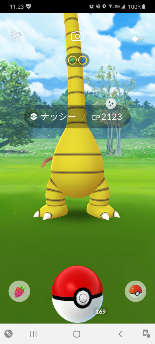 アローラナッシーの色違い初 そしてシャドウミュウツー98 リトレーンしたら100 だけど固有エフェクト剥がれそうだからそのままで Gofest ポケモンgo ツイレポ