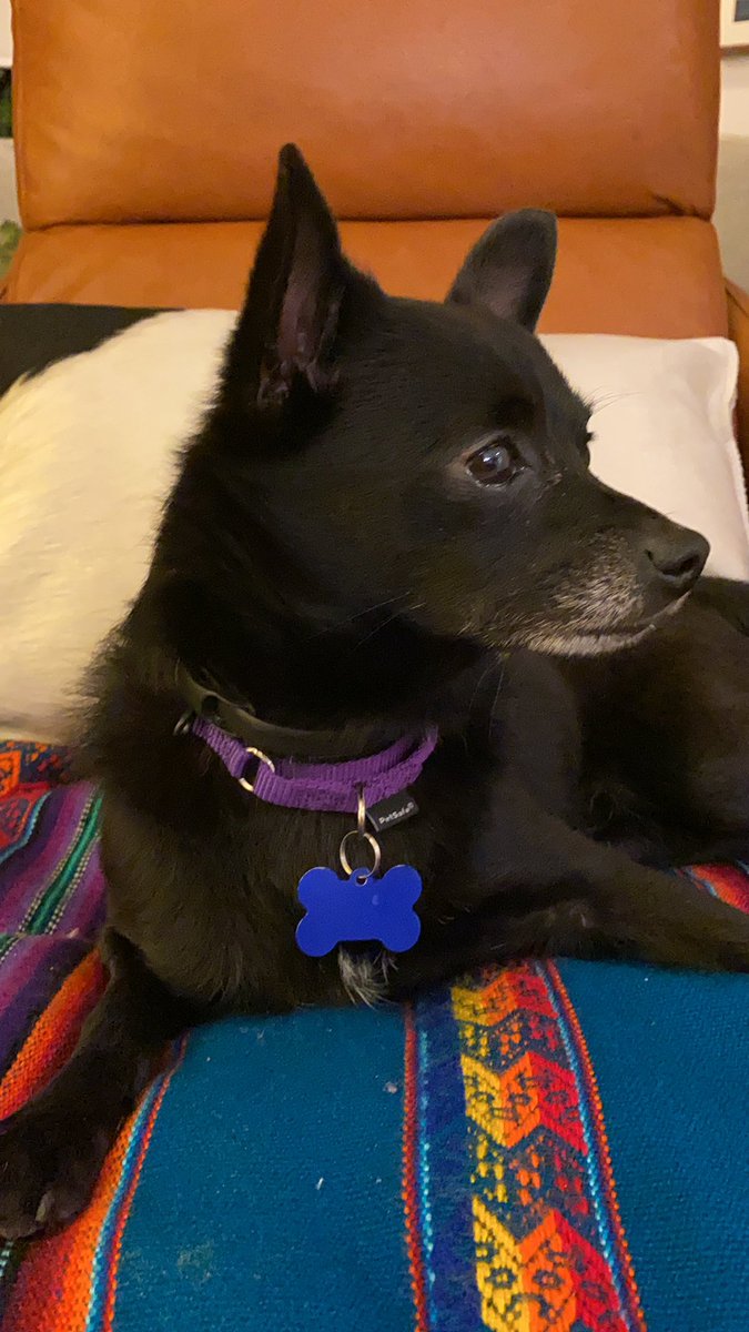 roger serrano tweet media