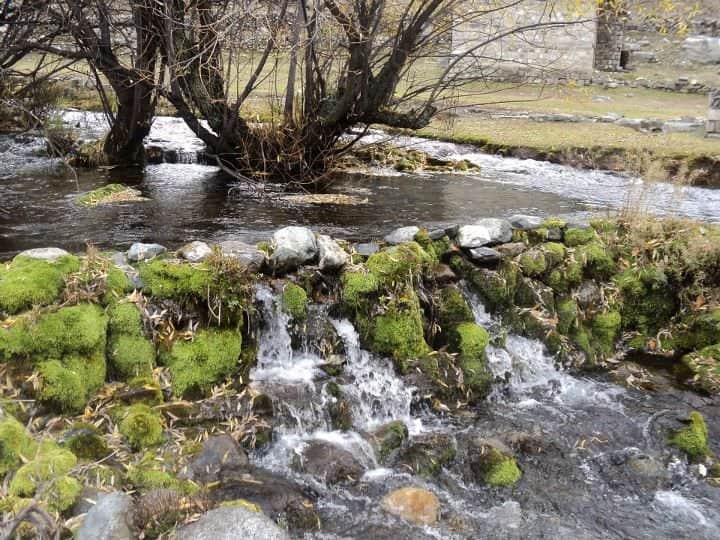 shams4452's tweet photo. People know about Kumrat very well.But how about Madaklasht?
Here is a few it looks in Summers
#Kumrat #Madaklasht #CableCart https://t.co/ZtkK5wn0xr