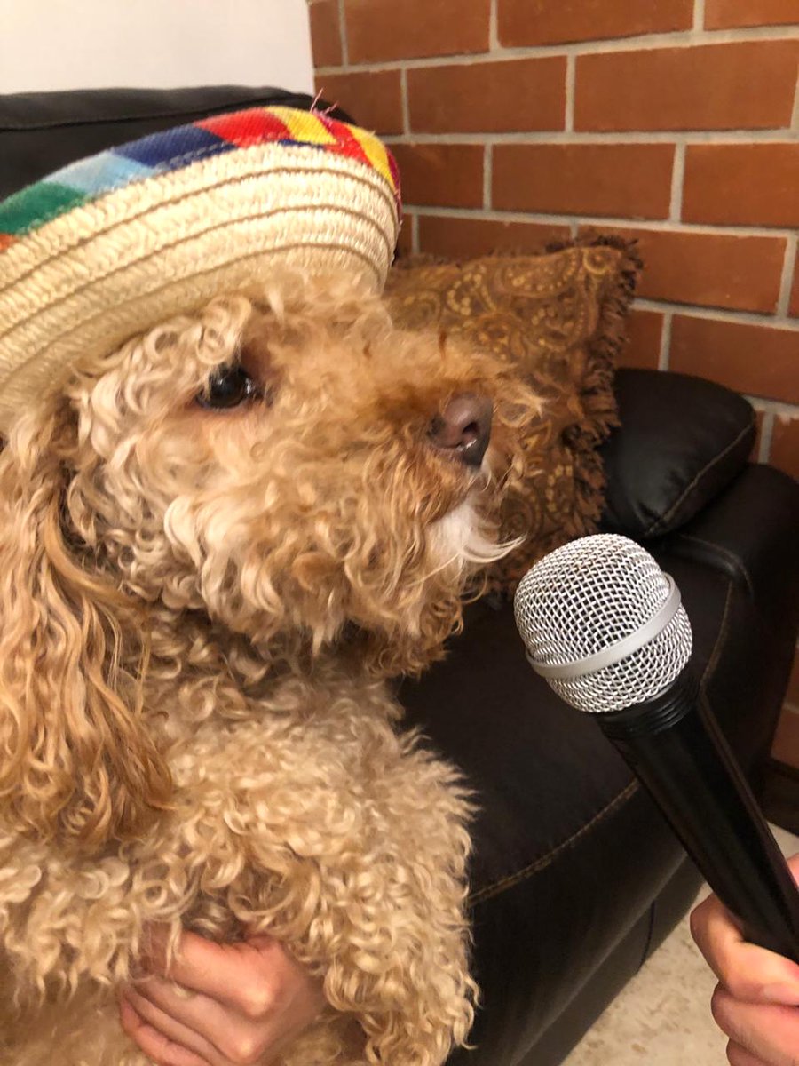 fidegudiel's tweet photo. Aca el canelo cantando canciones de Ana Gabriel.
#simplementerosita https://t.co/GfdGjrnnoO