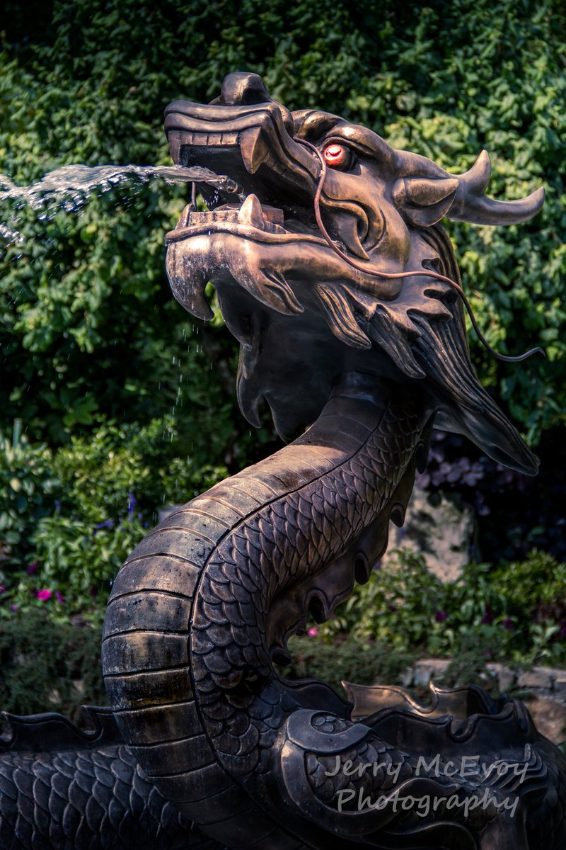 VicBCPhoto's tweet photo. The Dragon Fountain at Butchart Gardens. Located 23 km out of Victoria, BC in Brentwood Bay. There is 55 acres of public viewing at The Gardens. #butchartgardens #victoria #victoriaphotographer #jerrymcevoyphotography #picoftheday #pictureoftheday #dragon https://t.co/70FVuYguj8