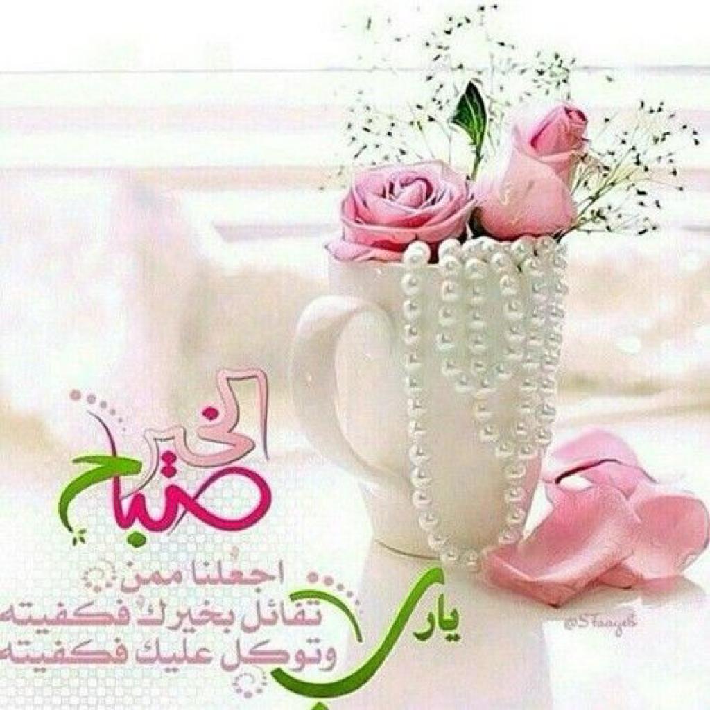 Mg141155's tweet photo. @AL_JALAL2000 https://t.co/HxPnzLHOqZ