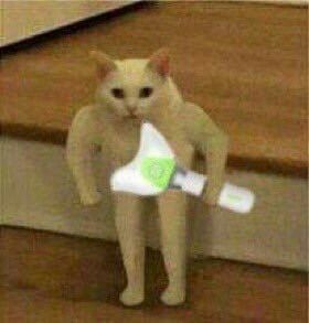 needyeom's tweet photo. answer me and I'll tattoo this ahgase cat
I'm not joking this is a FUCKING PROMISE BRO @mtuan93 #chatwithmark https://t.co/3uytyicb5O