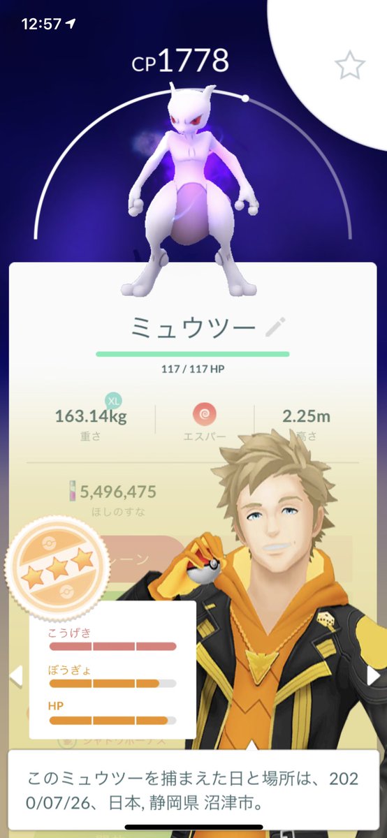 シャドウミュウツーかっこいい ツイレポ シャドウミュウツーかっこいい ツイレポ