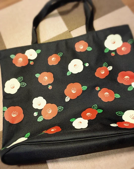 慊人さんが好きそうなバッグを見かけて買ってしまった( ˘ω˘ ) 