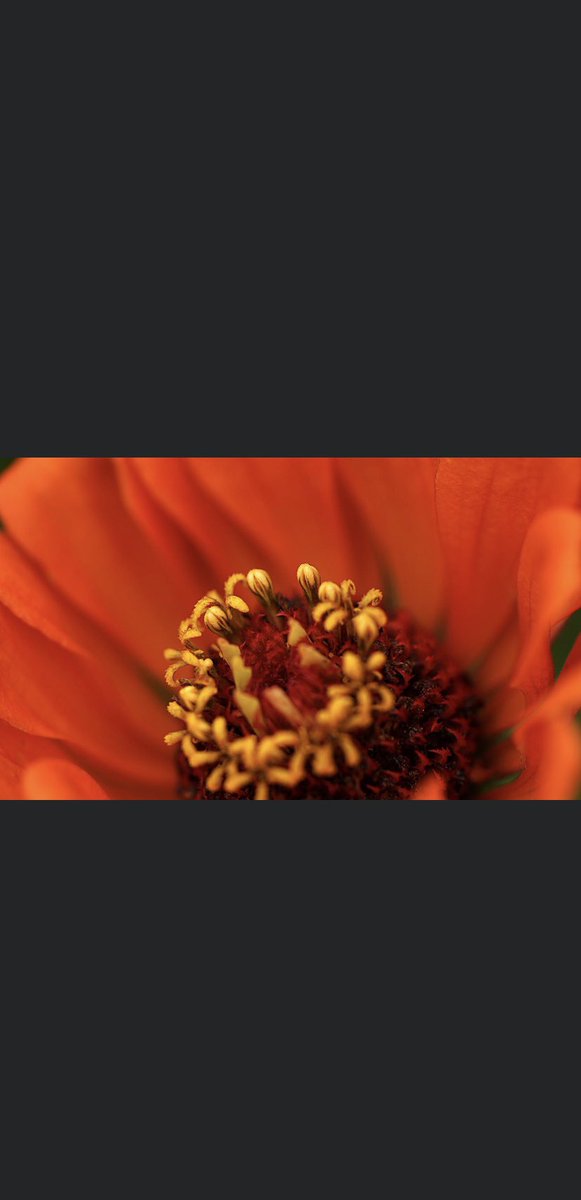Kenzerz_'s tweet photo. Make my dad famous for screensaver worthy photography https://t.co/eDpHrEKfn6