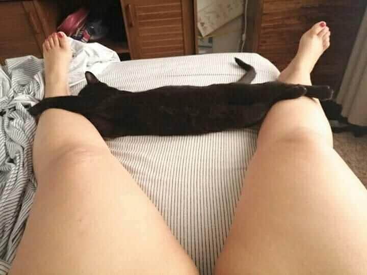 muneca_sexy's tweet photo. https://t.co/AGnGNc6jXG