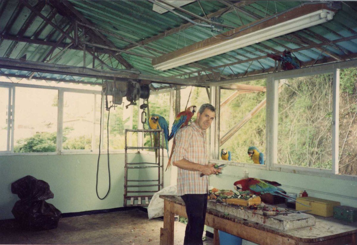 _primario's tweet photo. Entre todas las especies, una fue la favorita: las guacamayas. Desde aquel encuentro con Pancho en 1980, los Poggi han continuado con su labor de preservar este tipo de ave en la ciudad. (3/4) https://t.co/IQLVtHOevf