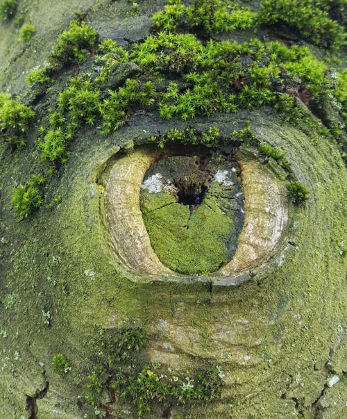 noveliciouss's tweet photo. It doesn't have to be the truth, just your vision of it, written down.
VIRGINIA WOOLF
#amwriting #writing https://t.co/TzsuXJOAT5