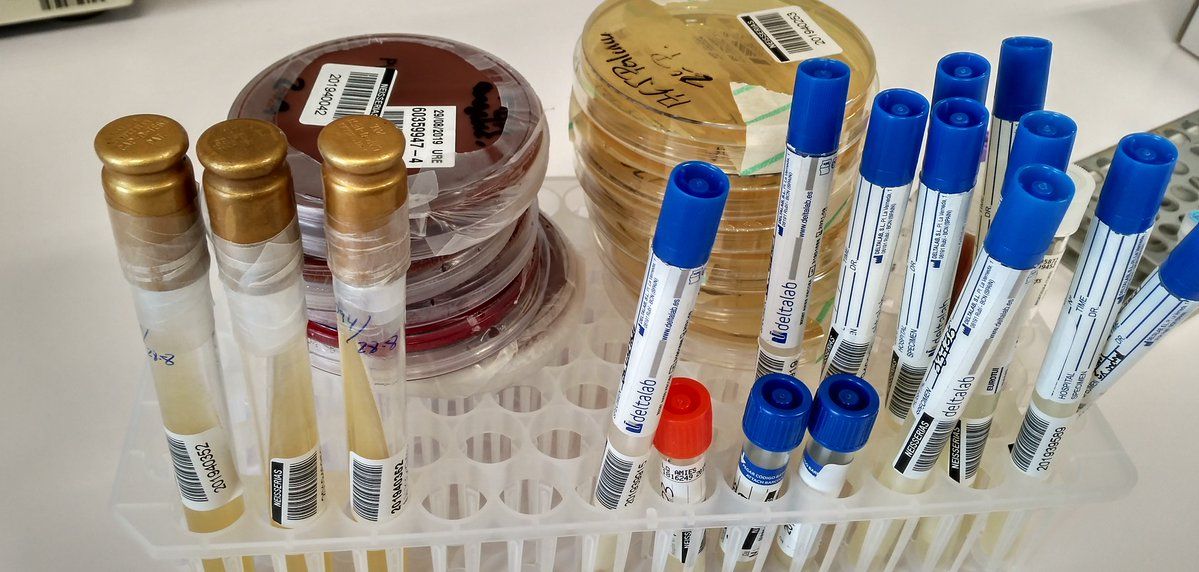 Foto cedida por Ministerio de Ciencia