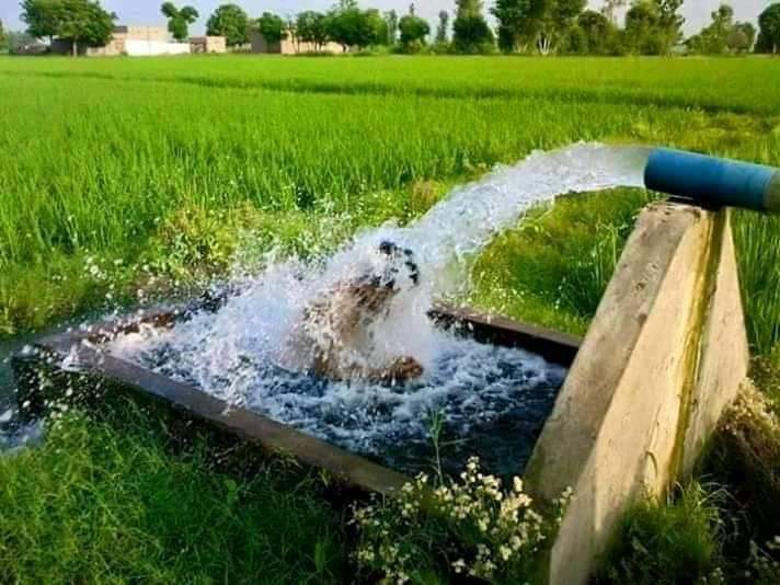 balOch1478's tweet photo. اجڑا جو اگر گلستان یے کبھی 
ترس جائوگے سرسبز دیکھنے کو تم بھی
#منتظر
#JohiNeedsWater
#JohiNeedsWater https://t.co/oa1TatGjLW