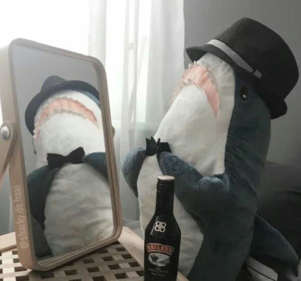  @ateezmgs This syududu syubidudu grandpa shark dududu for mingming. 