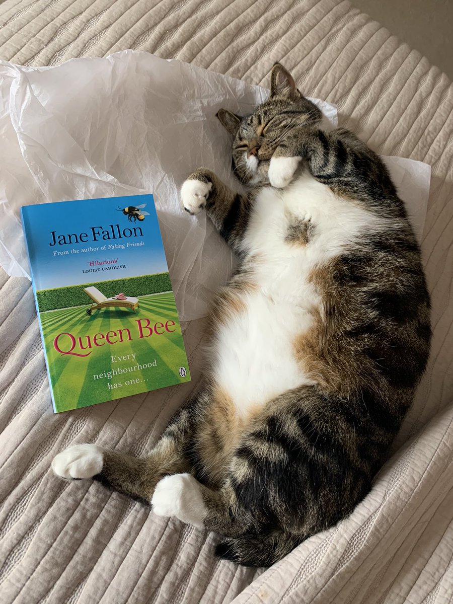 migummog's tweet photo. @JaneFallon Mum just finished #QueenBee she couldn’t put it down - I couldn’t stay awake though #snoozycat #awesomereads https://t.co/NQv3JULHyF