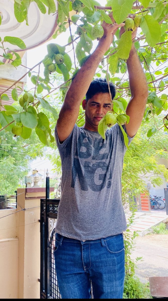 suwalkaLN's tweet photo. #घर के बाहर 90sqफीट में 
#birthday पे लगाए गए #पोेधे #trees बन चुके,मेहनत का #फल मिलने लगा है
Let's #plant_a_tree 🌱➡️🌳
#sundayvibes
#LogKiaKahenge
#ClimateEmergency
#environment
#GlobalWarming
#ClimateChange
#ClimateAction 
#ClimateActionNow
#must_green
#natural
@ParveenKaswan https://t.co/K9nKQF3zfb