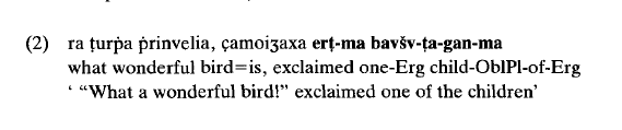 3/ The term “Suffixaufnahme” was introduced by German philologist and early typologist Franz Nikolaus Finck (1867-1910). In his book „Die Haupttypen des Sprachbaus“ from 1910, Finck comments on this example from  #Georgian (re-printed in Plank 1995, p. 7).