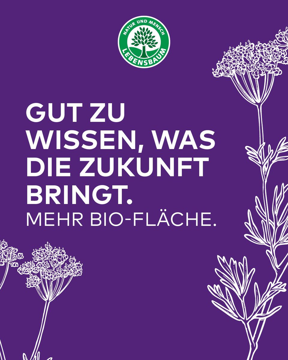 Lebensbaum tweet media