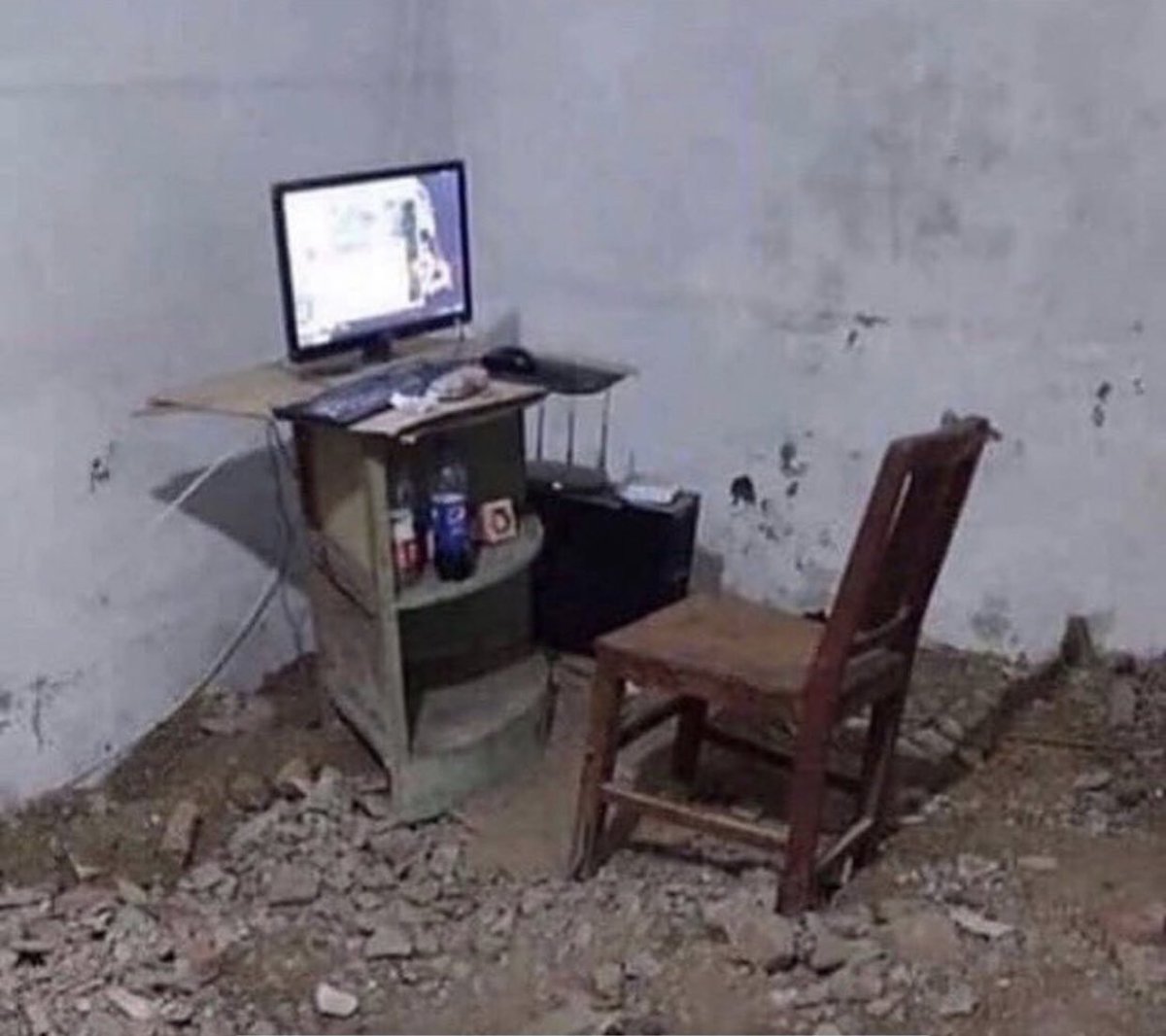 i love mort tweet media