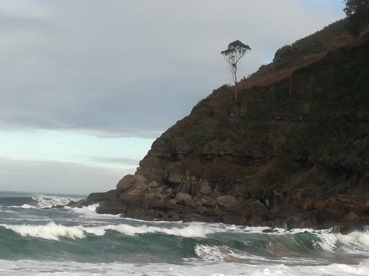 Javier Cancho tweet media