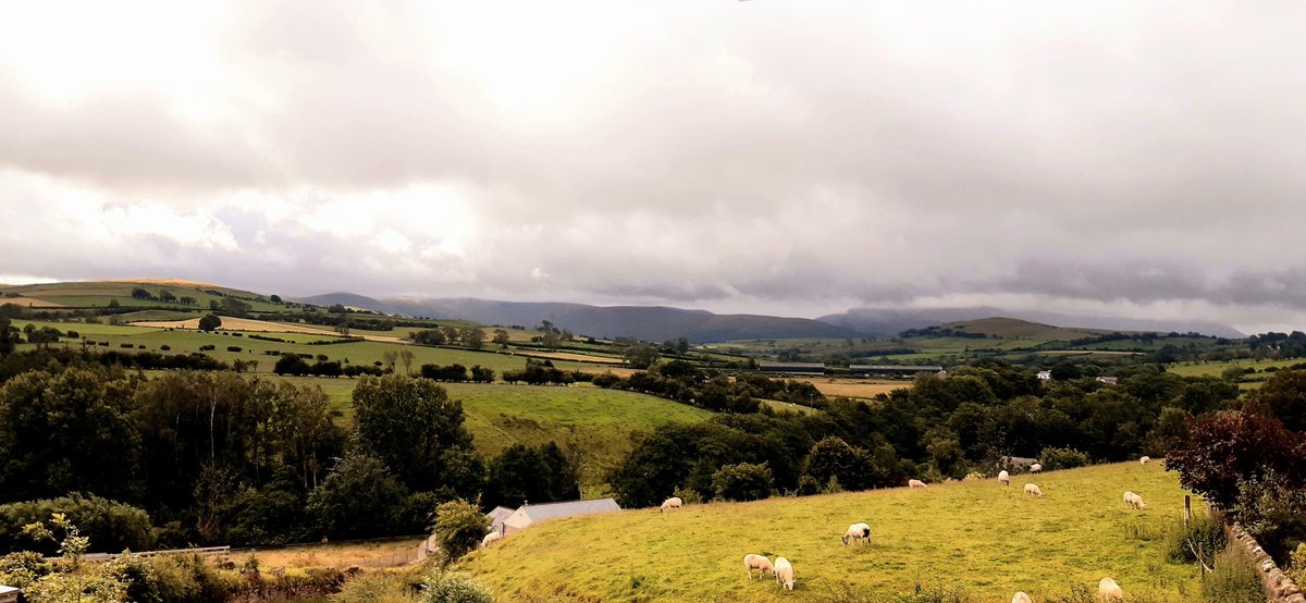 MarekBidwell's tweet photo. The #NorthernFells this morning: cloudy, but glimmers of sunlight spotlighting yellow harvested fields; the whitewashed church at #Uldale blicks through the trees; sheep shake off last night's rain; house martins slalom around the village; #Skiddaw remains shrouded. #Cumbria https://t.co/9XquVCwUpj