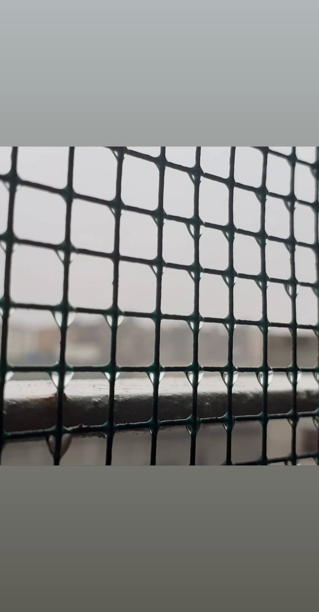 Rovaida's tweet photo. #rain #StillWithYouByJK #purebliss https://t.co/6cqqLFnAEE