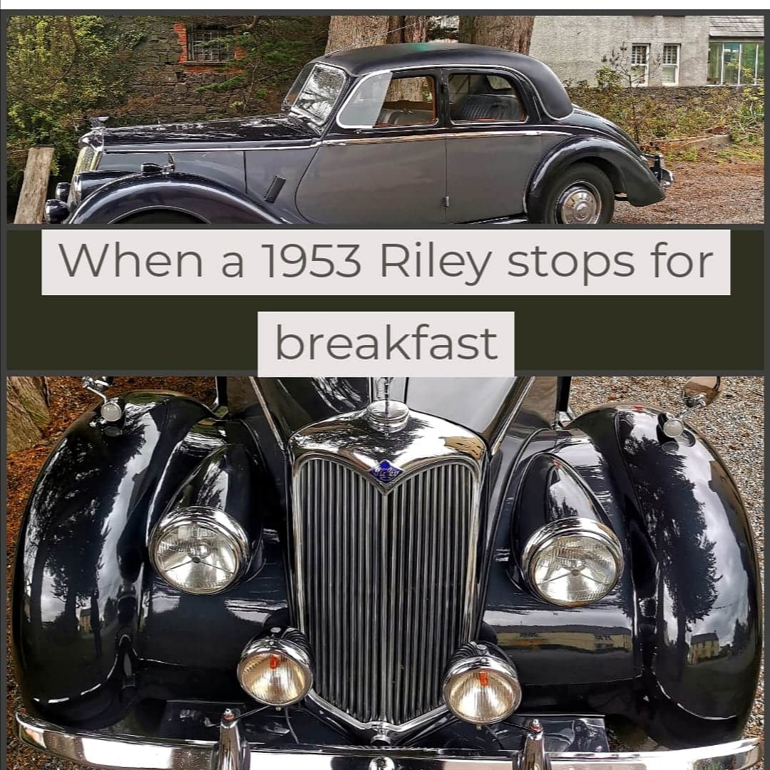 SmugglersTable's tweet photo. Its not every day you have a beauty like this in the car park.
#thesmugglerstable #killyleagh #breakfaststop
#1953Riley https://t.co/uwhuBlh7rm