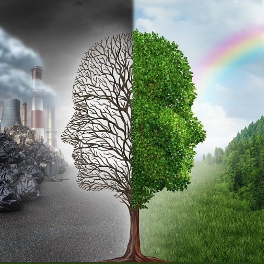 devi_umapathi's tweet photo. #SCARPEIA2020 #TNRejectsEIA2020 #saveEarth #natureiseverything Oppose this bill strongly in its current format. https://t.co/A7tIFkyjLy