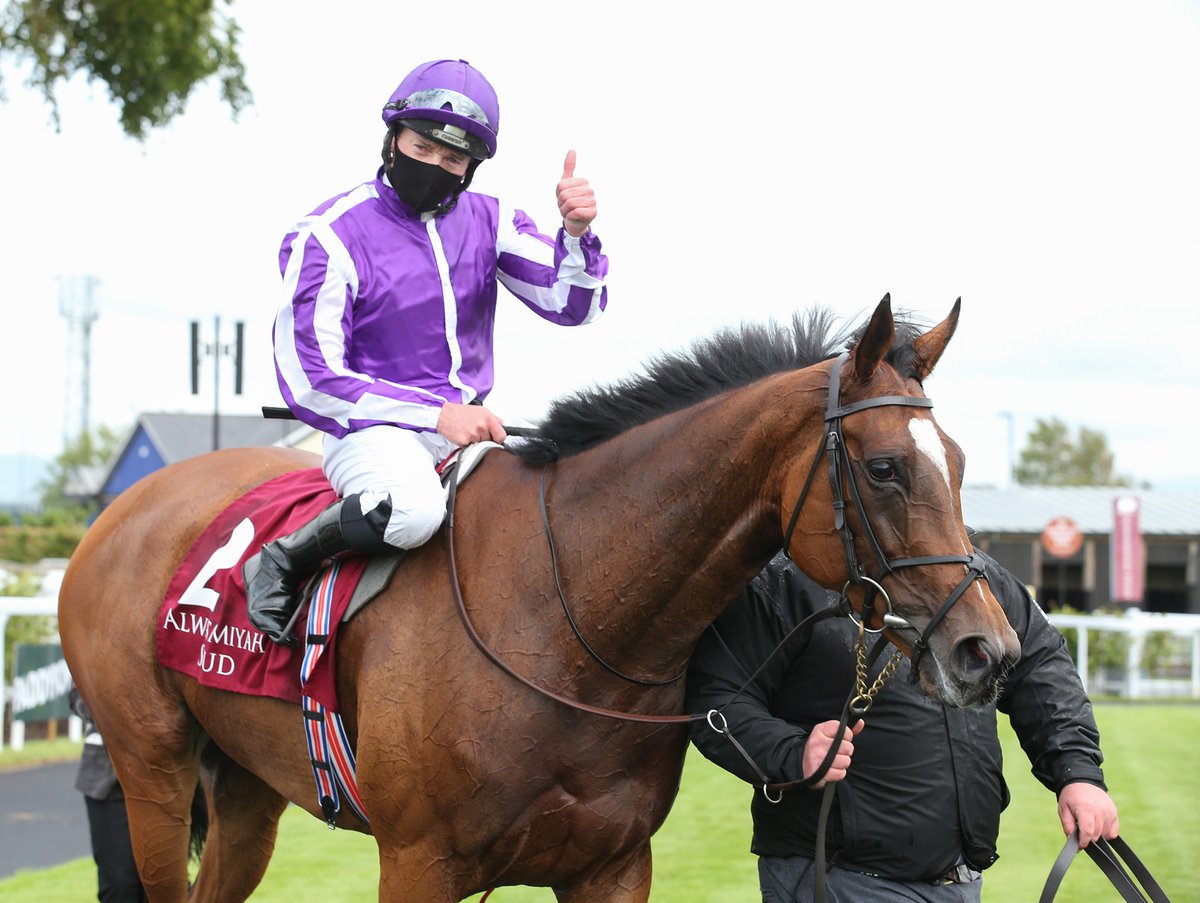 Pretty polly stakes betting on sports Pretty polly stakes betting on sports what is swarm on ethereum
