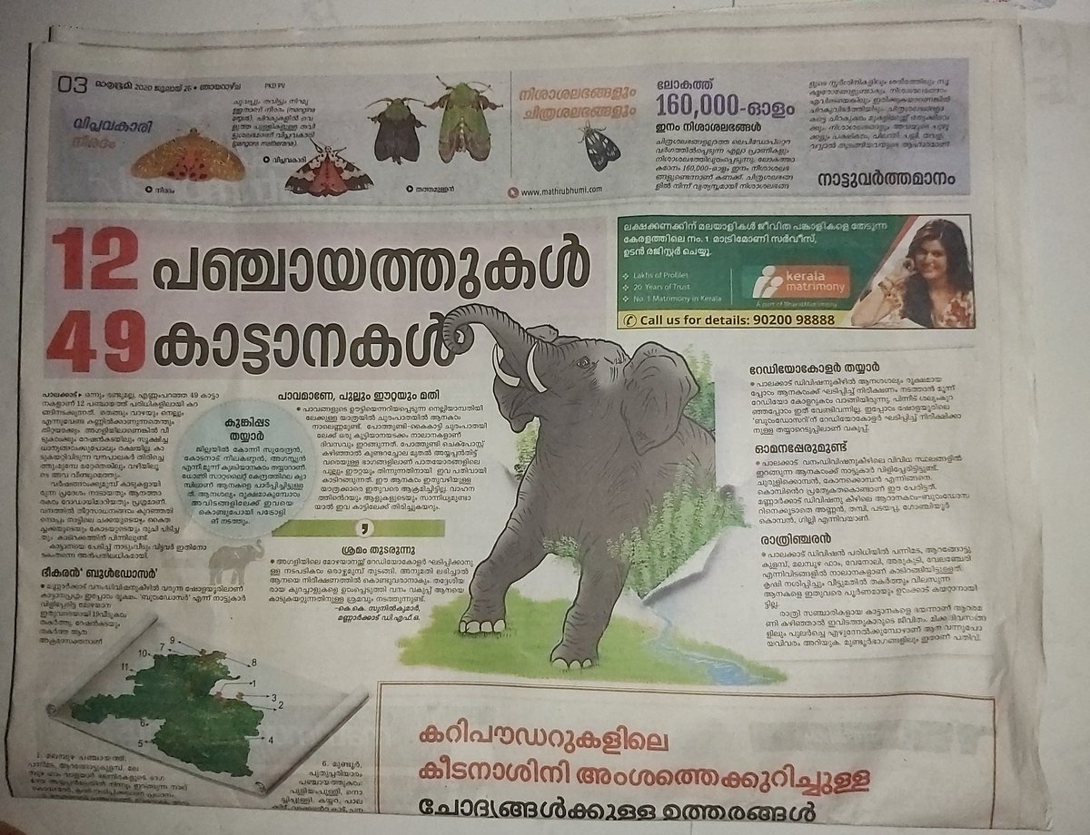 #elephantkerala
This is in Palakkad, Kerala.
49 wild elephants in 12 Panchayats in Palakkad. A report in Mathrubhumi, a leading newspaper in Kerala.
How can we save ourselves from the attacks of wild animals!? https://t.co/EEXgzzUMD4