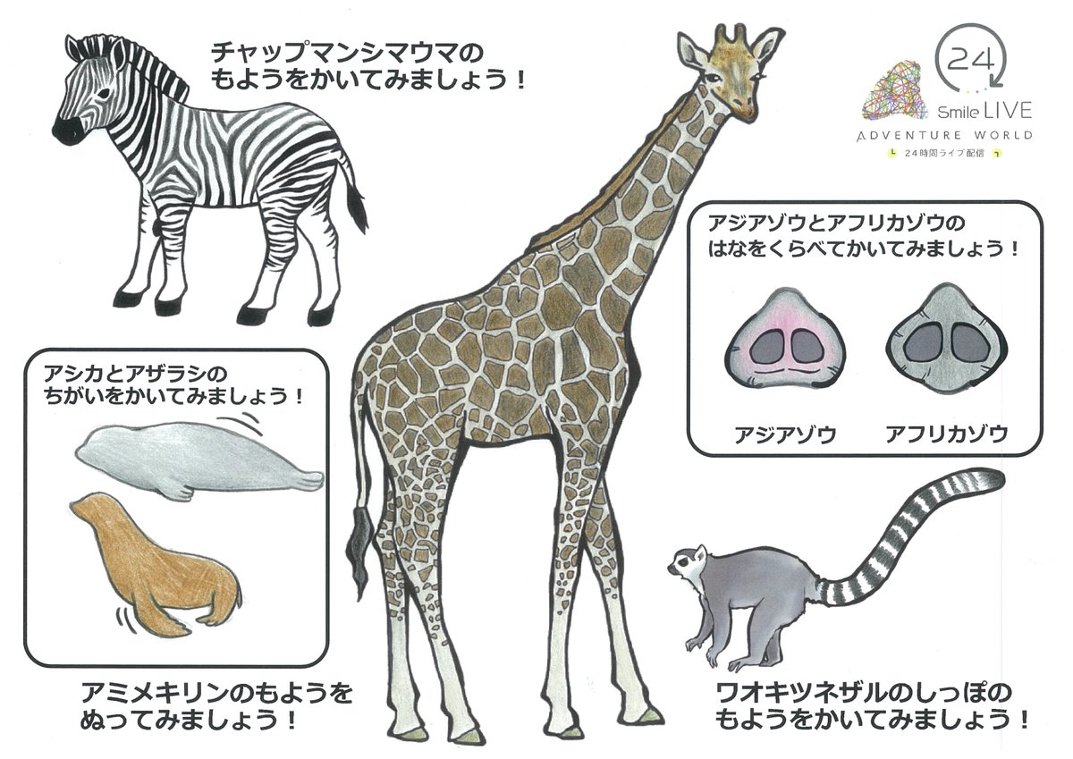 アドベンチャーワールド 公式 בטוויטר アドベンチャーワールド 24smilelive アーカイブ配信 みんなで作るオンライン体験学習 ミライsmile教室 シマウマってどんな模様 キリンの色はみんな同じ 一緒ってなに 違いってなに をテーマに様々な動物