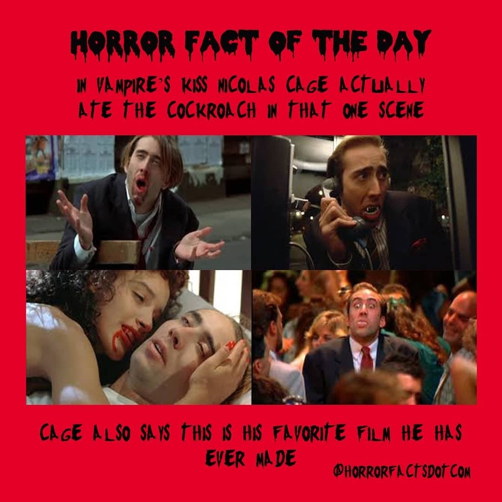 Hey guess what 👀

#VampiresKiss

dir #RobertBierman

#horror #horrorfacts #horrorcomedy #horrorfactsdaily #nicolascage #mariaalonso #jenniferbeals #elizabethashley #vampire #vampirehorror #imavampire instagr.am/p/CDF6NrWhGA_/