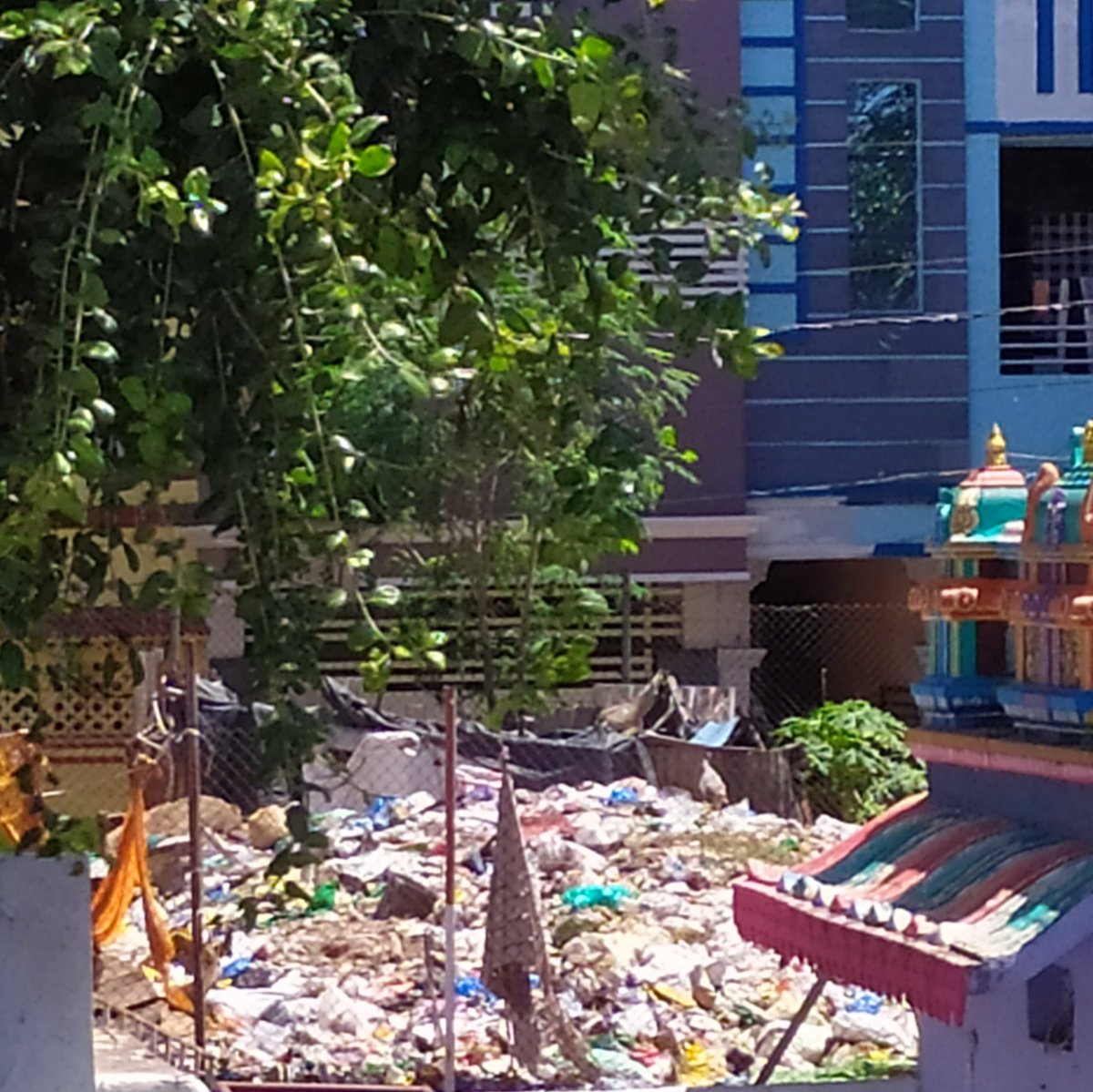 Philip Joshua tweet media