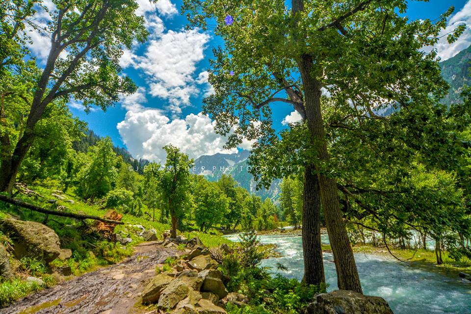 kumratvalley's tweet photo. Hello Pakistan 🇵🇰 have a blessed day. Some pictursque scenes of the valley. 
#Kumratvalley #Jehazbanda #Badgoi #ShahBanal #ShellTop https://t.co/wPEHBKlQkH