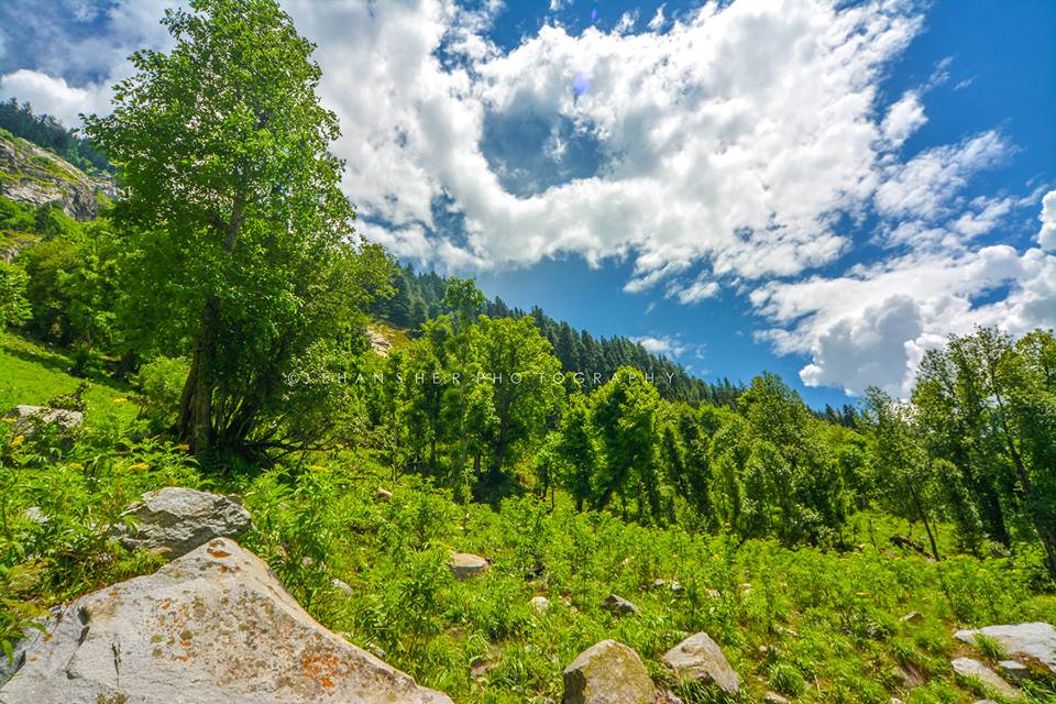 kumratvalley's tweet photo. Hello Pakistan 🇵🇰 have a blessed day. Some pictursque scenes of the valley. 
#Kumratvalley #Jehazbanda #Badgoi #ShahBanal #ShellTop https://t.co/wPEHBKlQkH