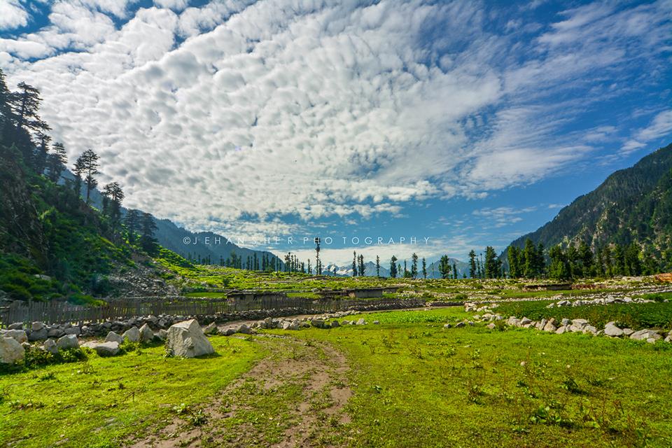 kumratvalley's tweet photo. Hello Pakistan 🇵🇰 have a blessed day. Some pictursque scenes of the valley. 
#Kumratvalley #Jehazbanda #Badgoi #ShahBanal #ShellTop https://t.co/wPEHBKlQkH