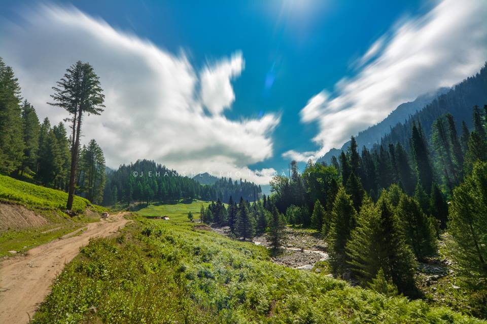 kumratvalley's tweet photo. Hello Pakistan 🇵🇰 have a blessed day. Some pictursque scenes of the valley. 
#Kumratvalley #Jehazbanda #Badgoi #ShahBanal #ShellTop https://t.co/wPEHBKlQkH