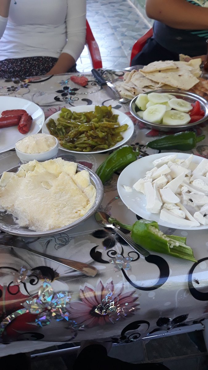 Muratorun12's tweet photo. Roj baş https://t.co/7admGL36Ca