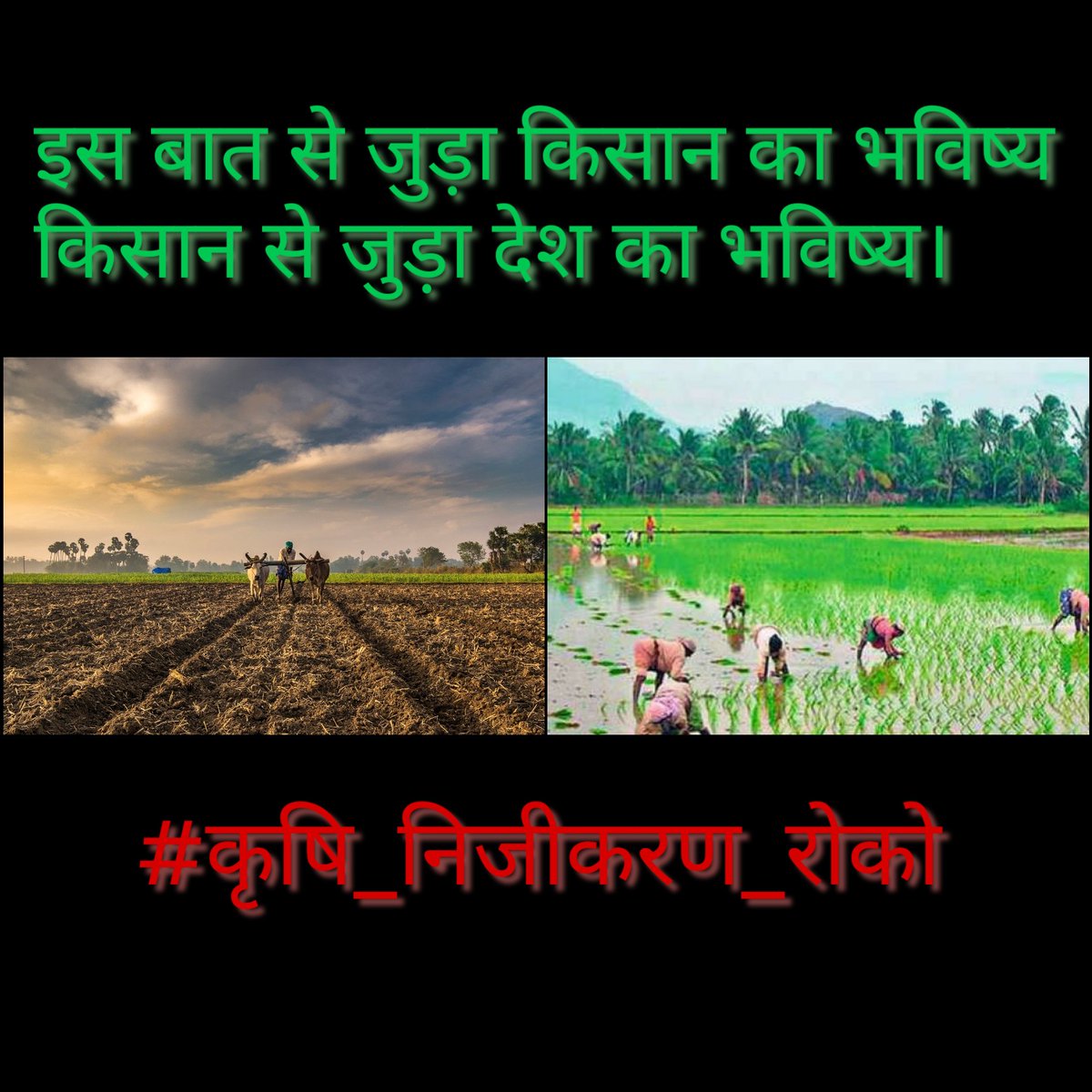 DaveGurudat's tweet photo. Corona ની vaccine બનાવવાની સાથે સાથે હવે Privatization રોકવા માટેની vaccine બનાવવાનું કામકાજ પણ ચાલુ જ છે. #agrians work ઉપર જ છે.
મંડ્યા જ રહો #agrians. 🌱💪🏻
#कृषि_निजीकरण_रोको
@CMOGuj @PRupala @vijayrupanibjp @narendramodi
@nstomar @JPNadda @jitu_vaghani @pkhem2002 https://t.co/FwlETvZ2He