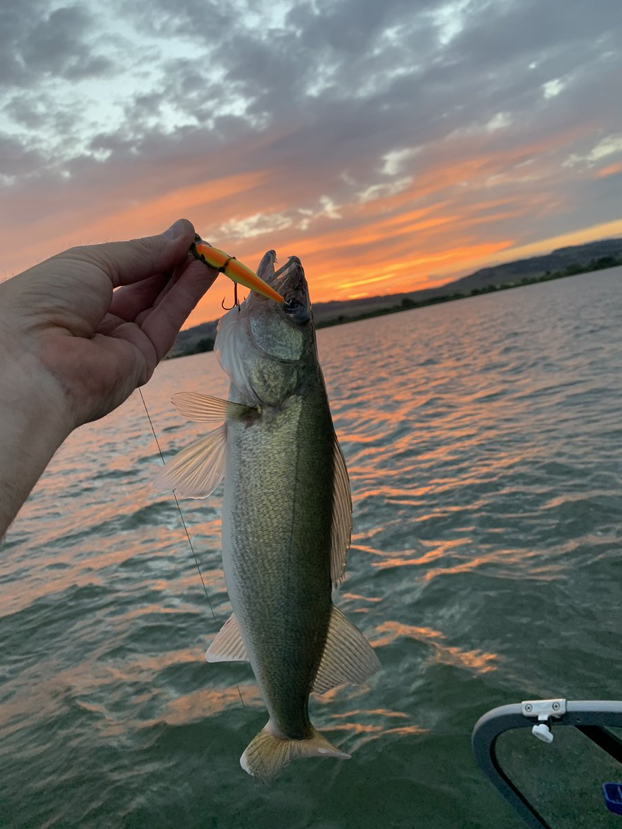 Daniel Petereit tweet media