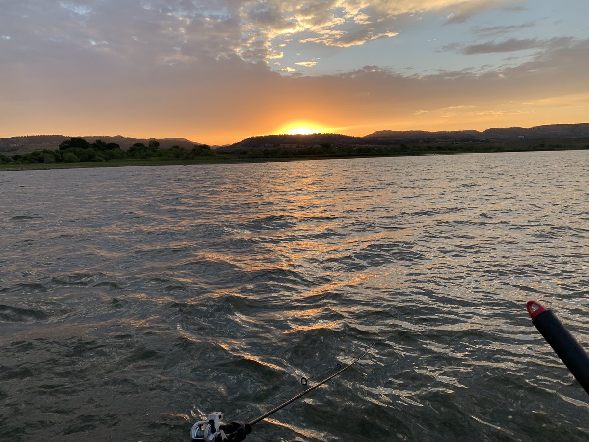 Daniel Petereit tweet media