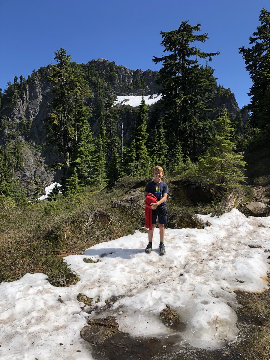 rees_da's tweet photo. The views from the summit were stunning complete with some July snow and snowball fights and even Sam managed to join us #dogdidwell #snowinJuly https://t.co/gZPxwEPn40