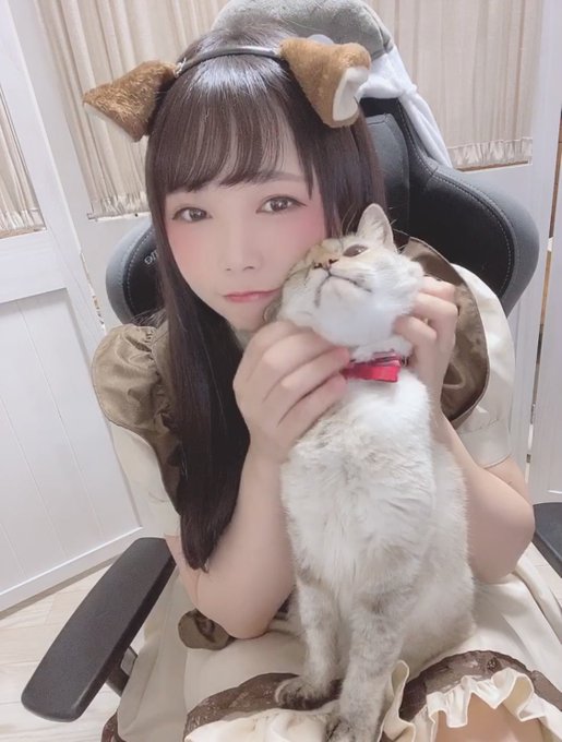 コスプレイヤー中本yuiのTwitter画像29