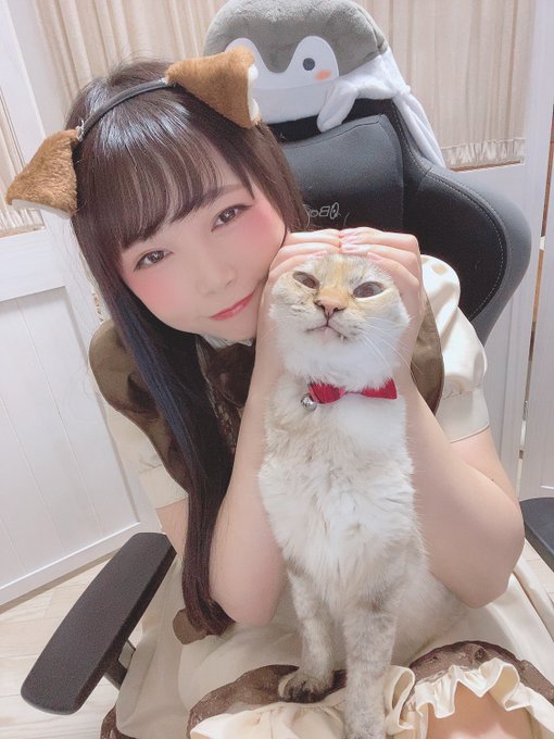 コスプレイヤー中本yuiのTwitter画像30