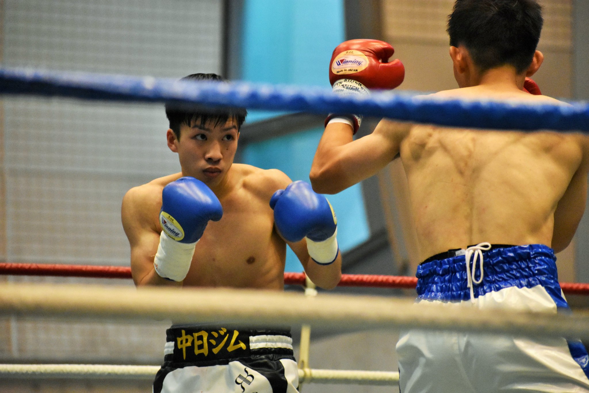 伊藤雅哉 A Twitter 速報 ボクシング 刈谷 メインとセミの2試合のみ ミニマム級6回戦 東健史 Aritomi 丁野拓海 中日 19年新人王西軍代表 パワフル丁野 の右オーバーが炸裂 ほぼ一発で決まり1回1分29秒tko 東は6回戦で7試合目 関西遠征も多く骨太の 伊藤雅哉 A Twitter 速報 ボクシング 刈谷 メインとセミの2試合のみ ミニマム級6回戦 東健史 Aritomi 丁野拓海 中日 19年新人王西軍代表 パワフル丁野 の右オーバーが炸裂 ほぼ一発で決まり1回1分29秒tko 東は6回戦で7試合目 関西遠征も多く骨太の