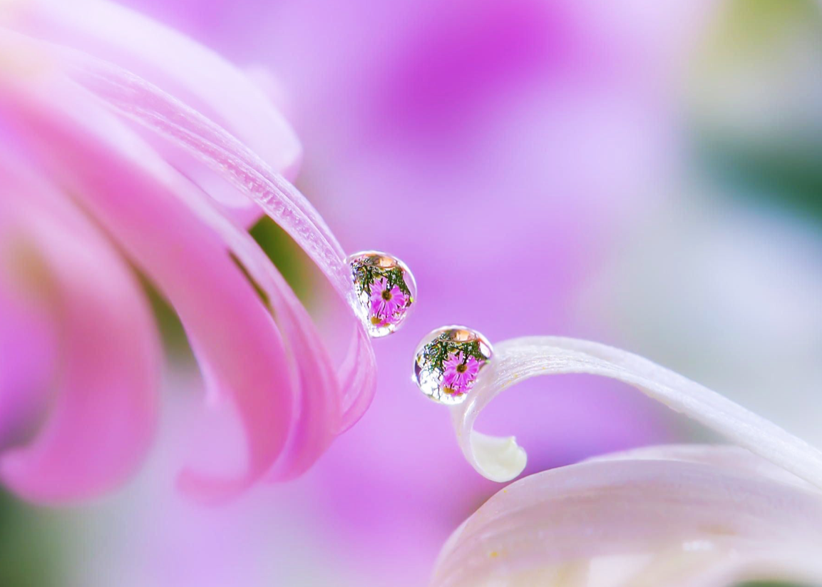 InfinityCoachi4's tweet image. Reset Coaching is about #balancingout our #perceptions. 
Most people view their #experiences lopsided &amp;amp; mainly on the #negativeviewpoint. #Resetcoaching aims to help people see #thewholepicture of every #pastexperience so that they can be #free.
infinitycoaching.co