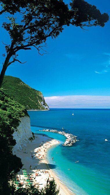 wildworldww's tweet photo. Another mystical white beach 

#indradeepkhan https://t.co/MZzYw93n9p