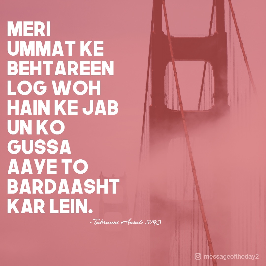 messageoftheda4's tweet photo. #messageoftheday #thoughtoftheday #ThoughtForTheDay #Islam #Islamic #hadees. #Hadith
#HadithOfTheDay #Islamic #IslamUnity #islam #Muslim
#TimeForMuslimsUnity #Quran #MuslimsConnect #MuslimBrotherhood #MuslimTwitter #Muslims_are_one Follow us on @messageoftheda4 https://t.co/FakS8pZC0v
